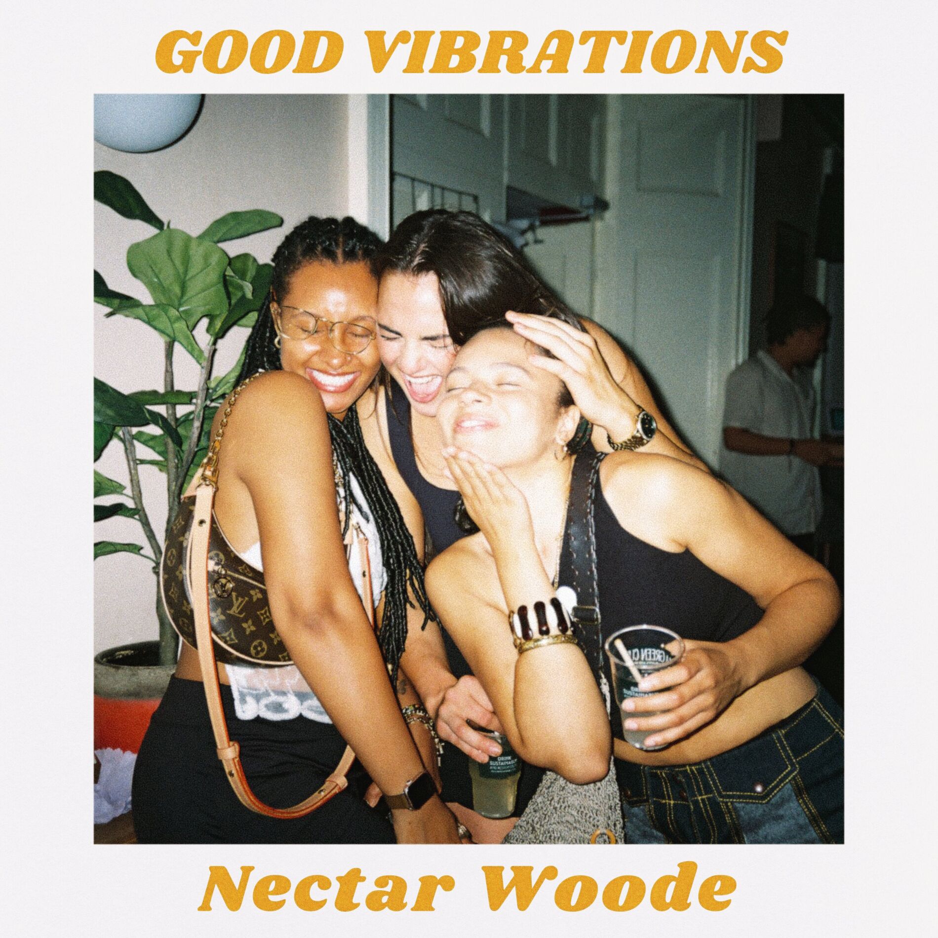 Album cover of Good Vibrations