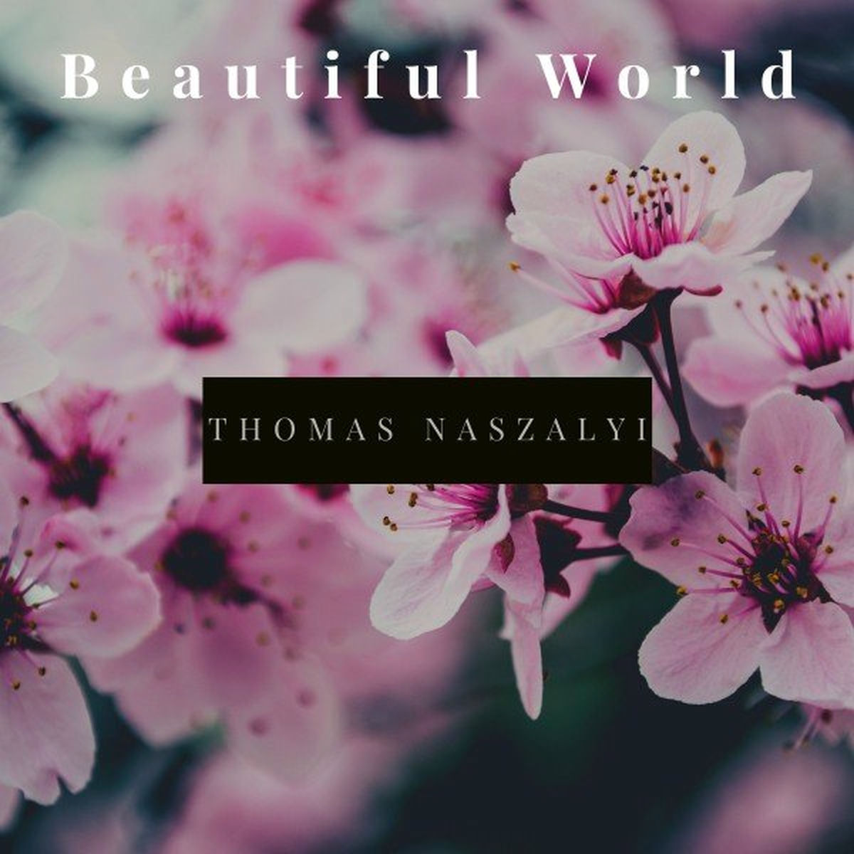 Album cover of Beautiful World