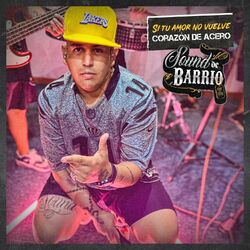 Cover of Si Tu Amor No Vuelve / Corazón de Acero