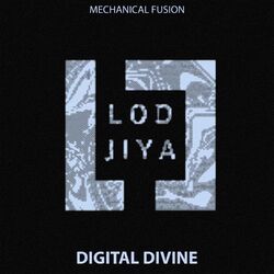 Cover of Digital Divide