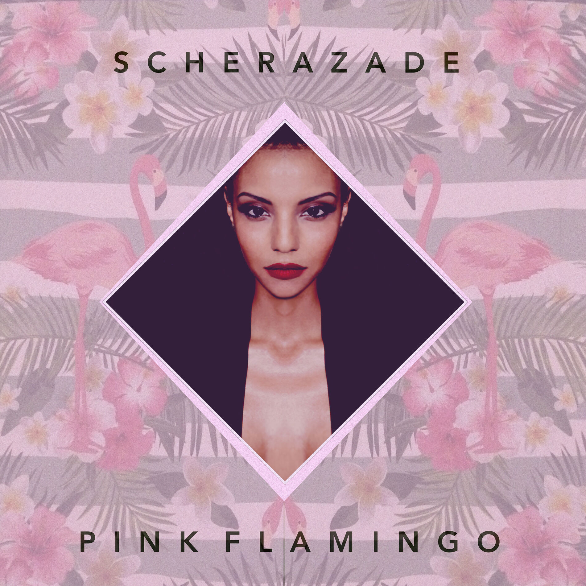 Album cover of Pink Flamingo