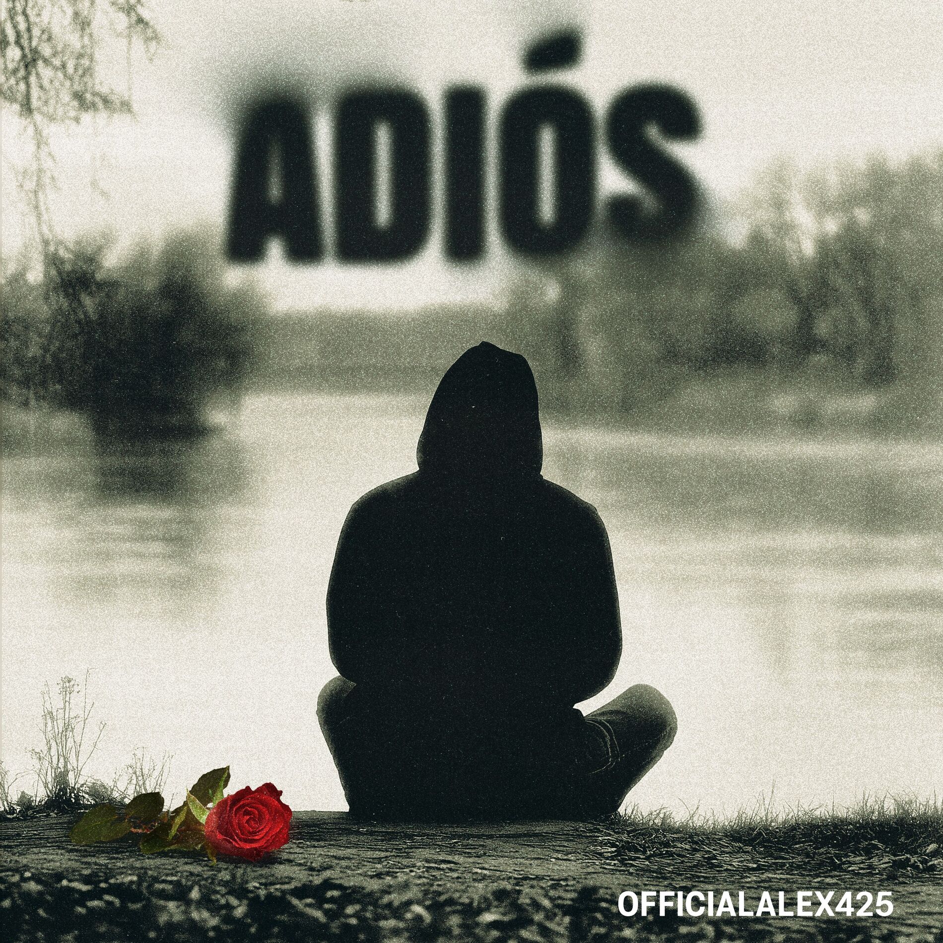 Album cover of ADIOS