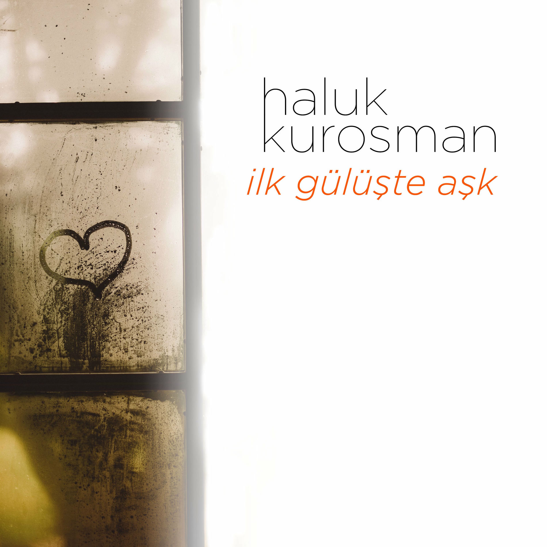 Album cover of İlk Gülüşte Aşk