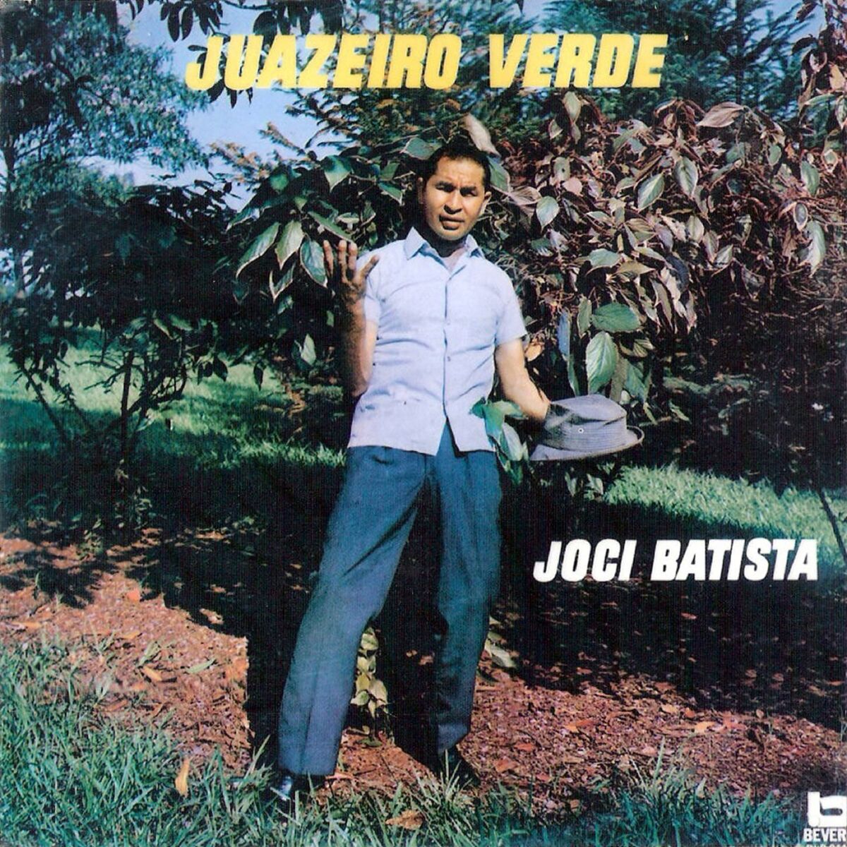 Album cover of Festa da fogueira