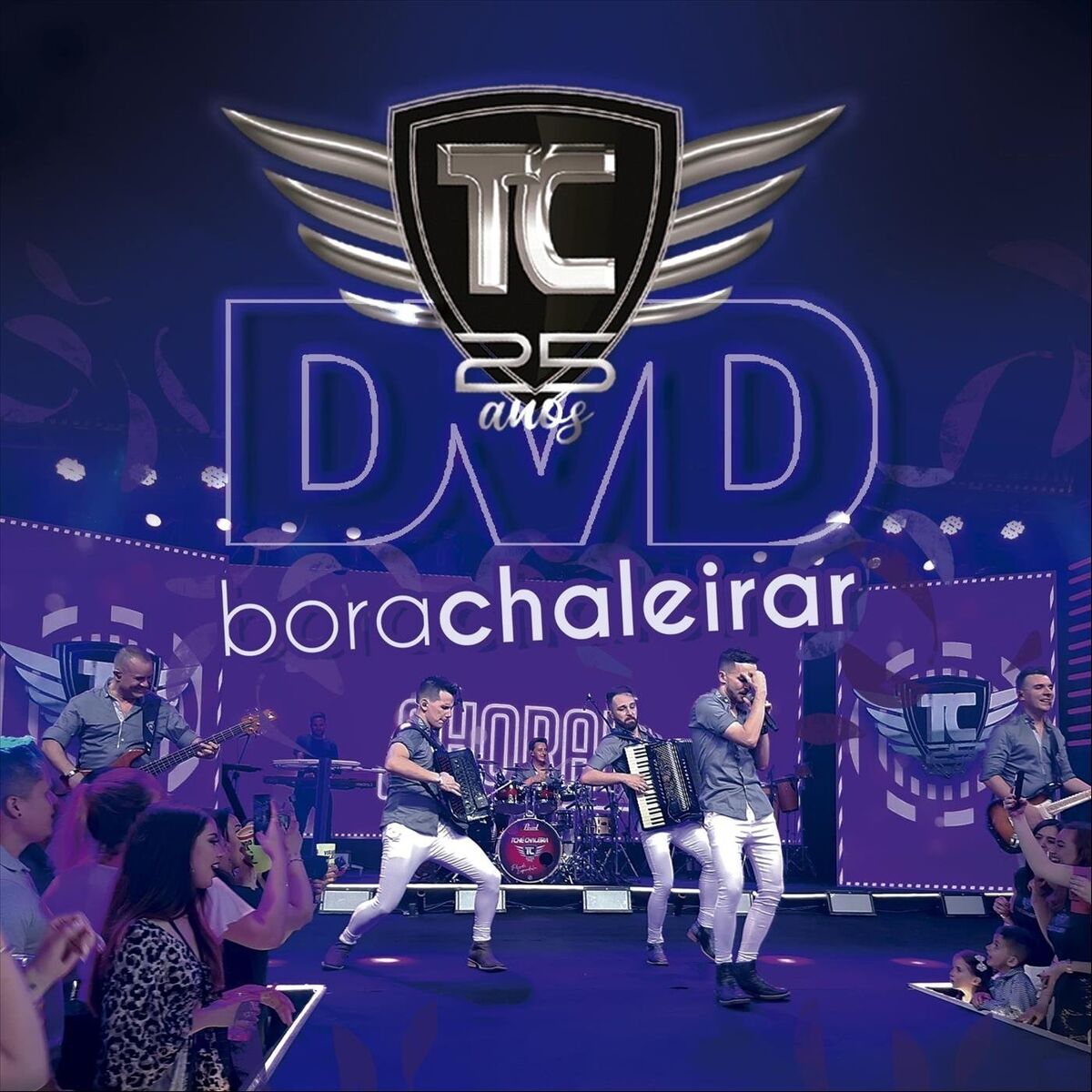Album cover of Dvd 25 Anos