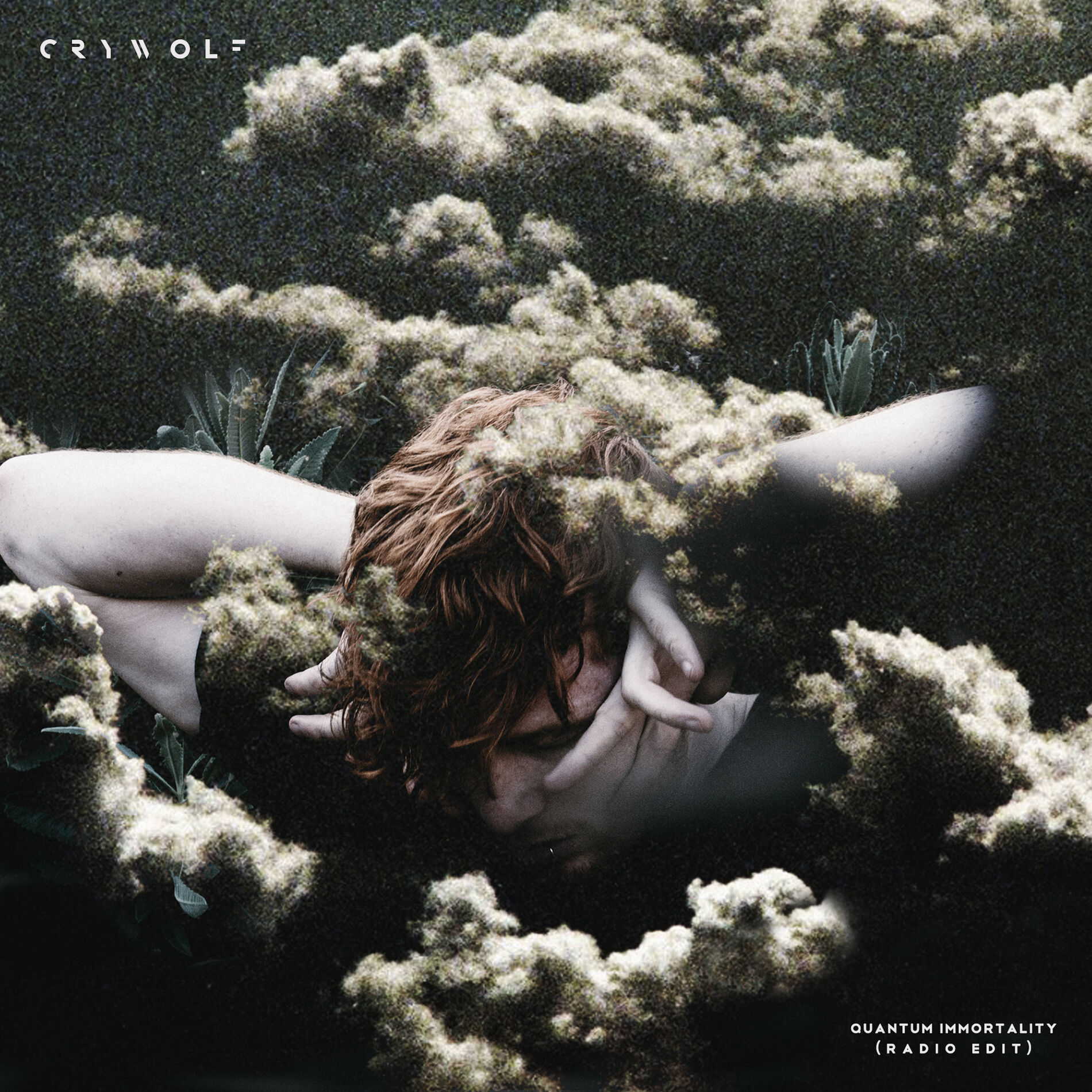 Album cover of Quantum Immortality (Radio Edit)