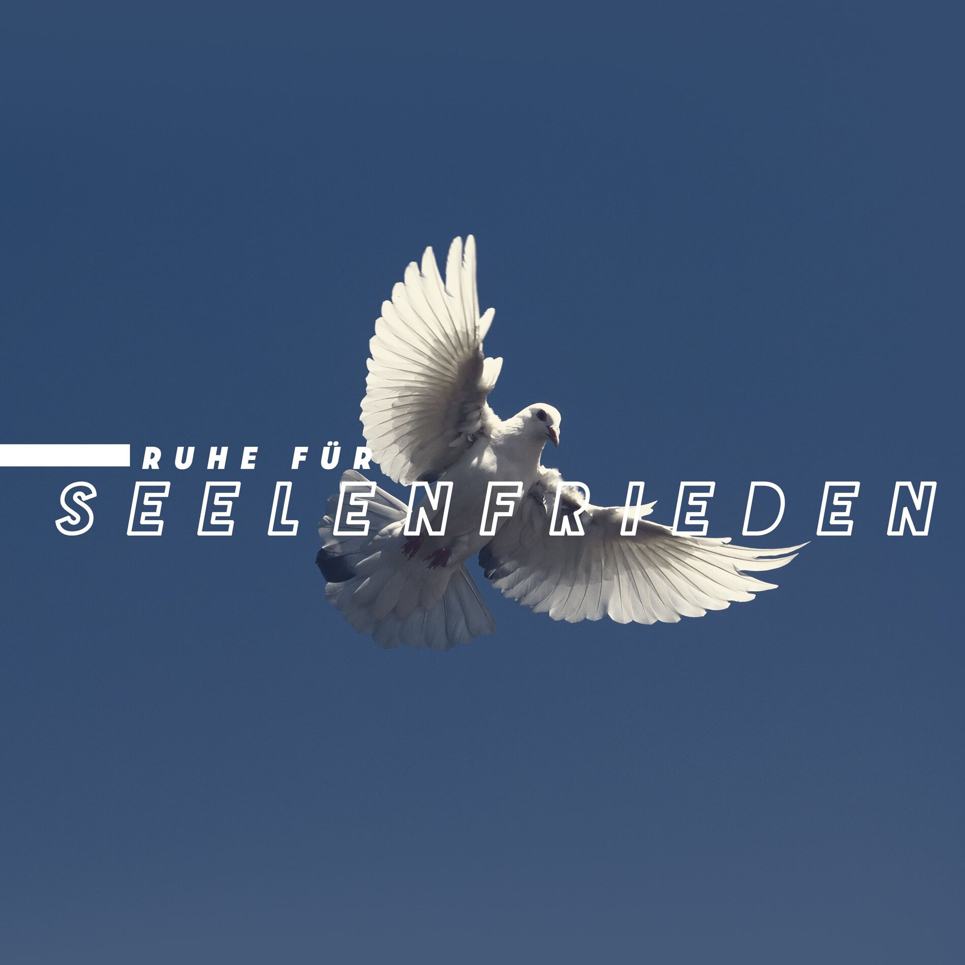 Album cover of Ruhe für Seelenfrieden