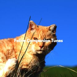 Cover of Feline Companion Tunes