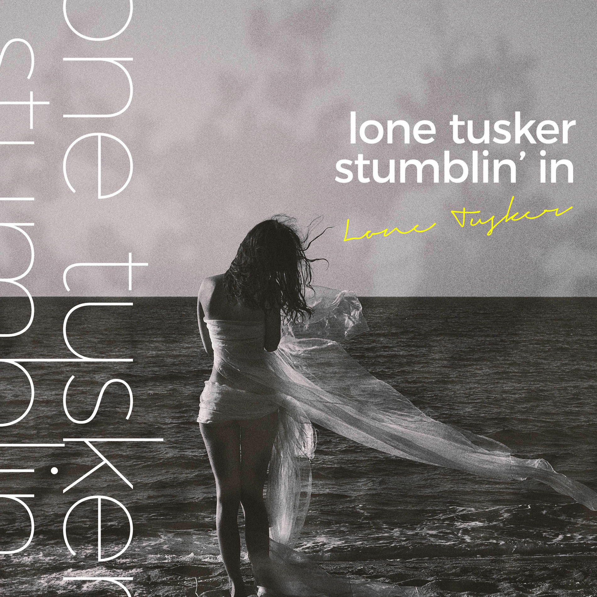 Album cover of Stumblin' In