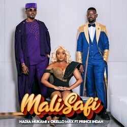 Cover of Mali Safi