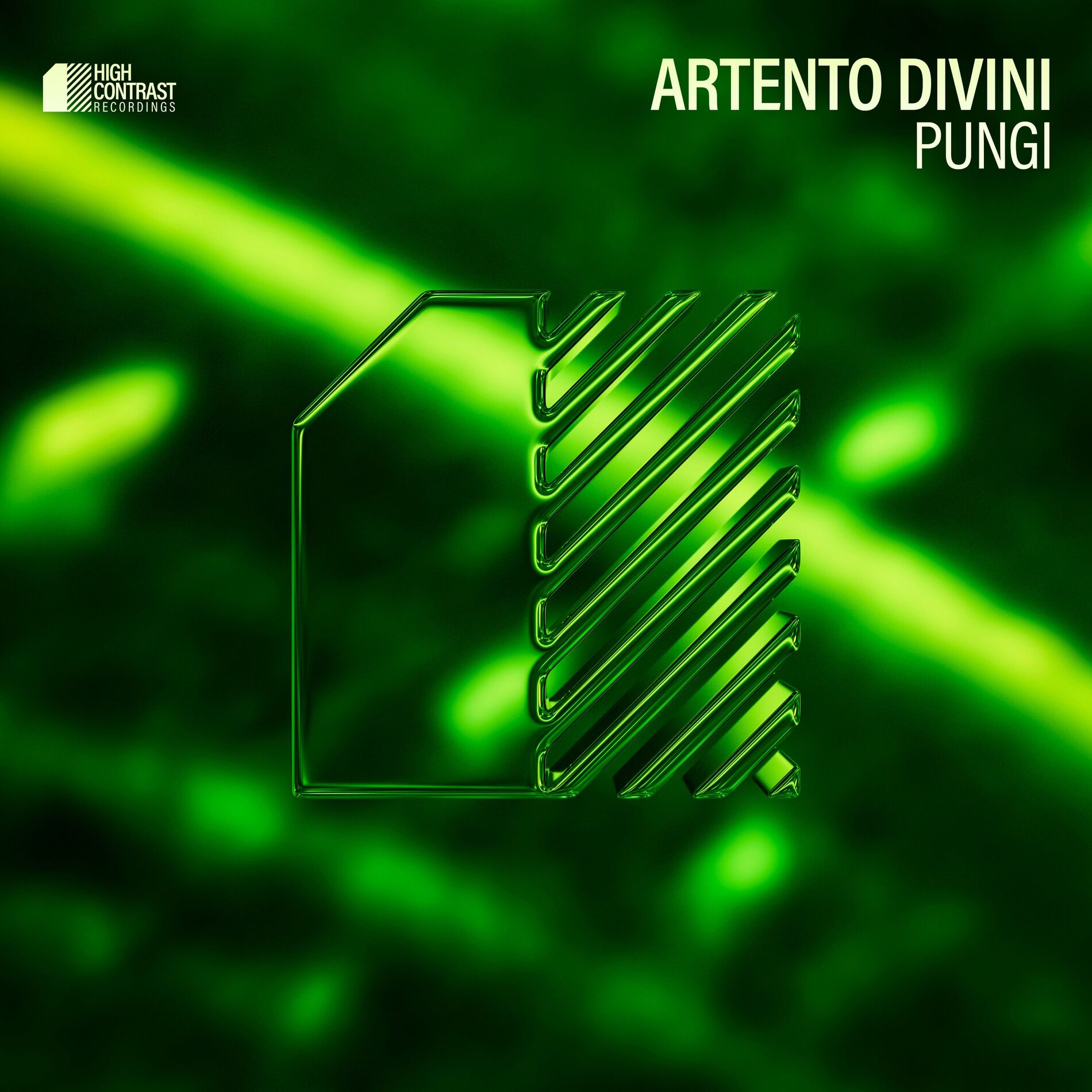 Album cover of Pungi