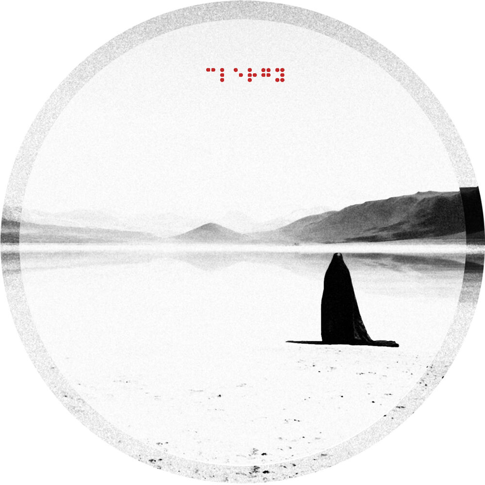 Picture of Fragments Of A Portrait EP [Incl. Wrong Assessment Remix]
