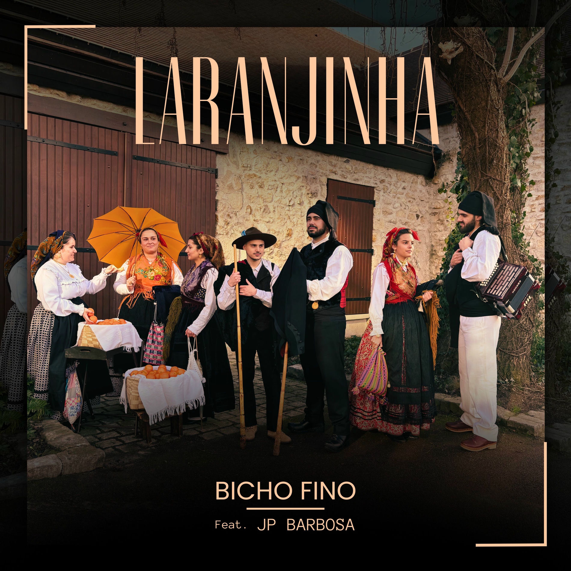Album cover of Laranjinha