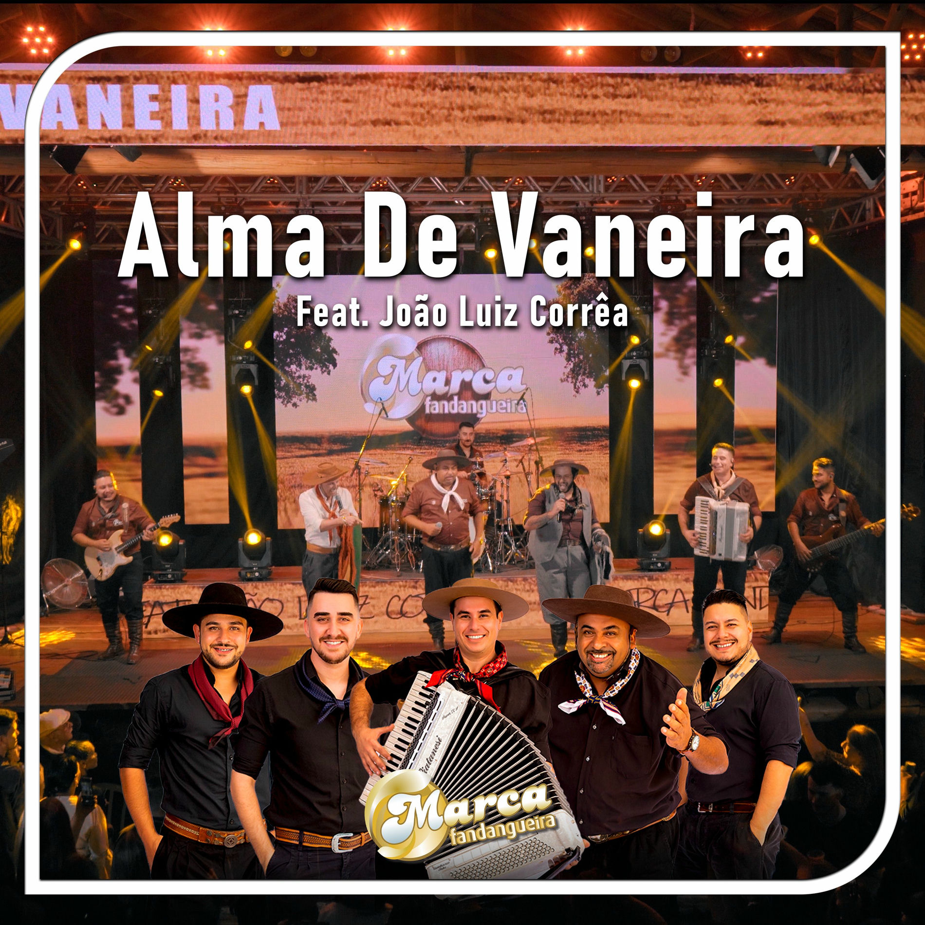 Album cover of Alma de Vaneira - 15 Anos (Ao Vivo)
