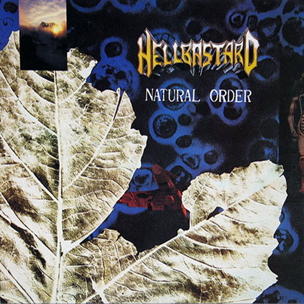 Picture of Natural Order