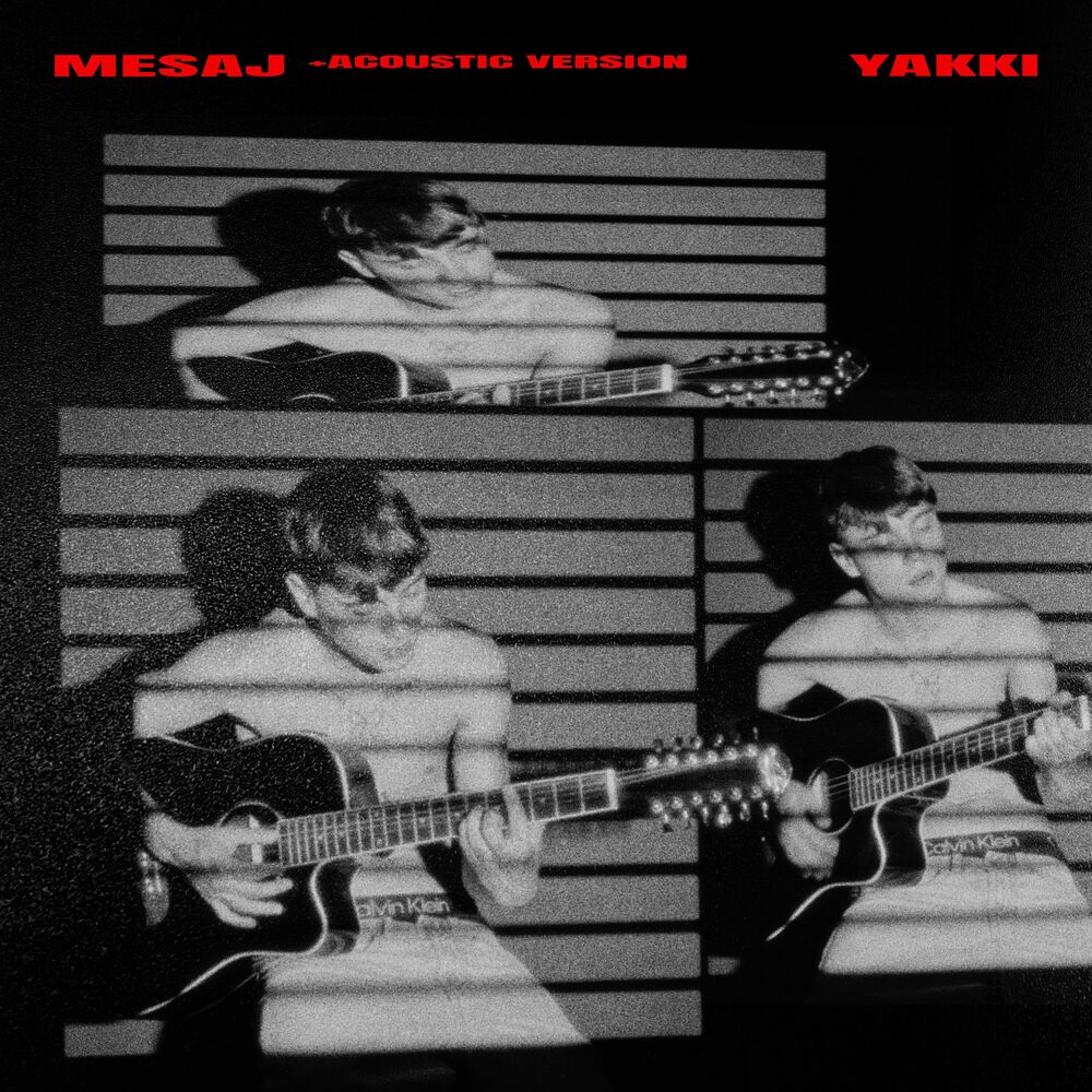 Picture of Mesaj (Acoustic Version)