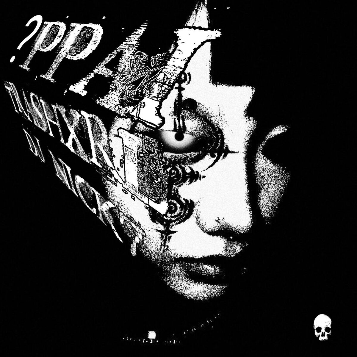 Album cover of ?PPAI