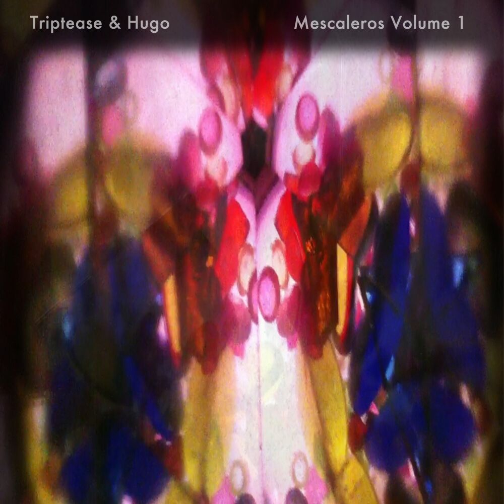 Picture of Mescaleros, Vol. 1