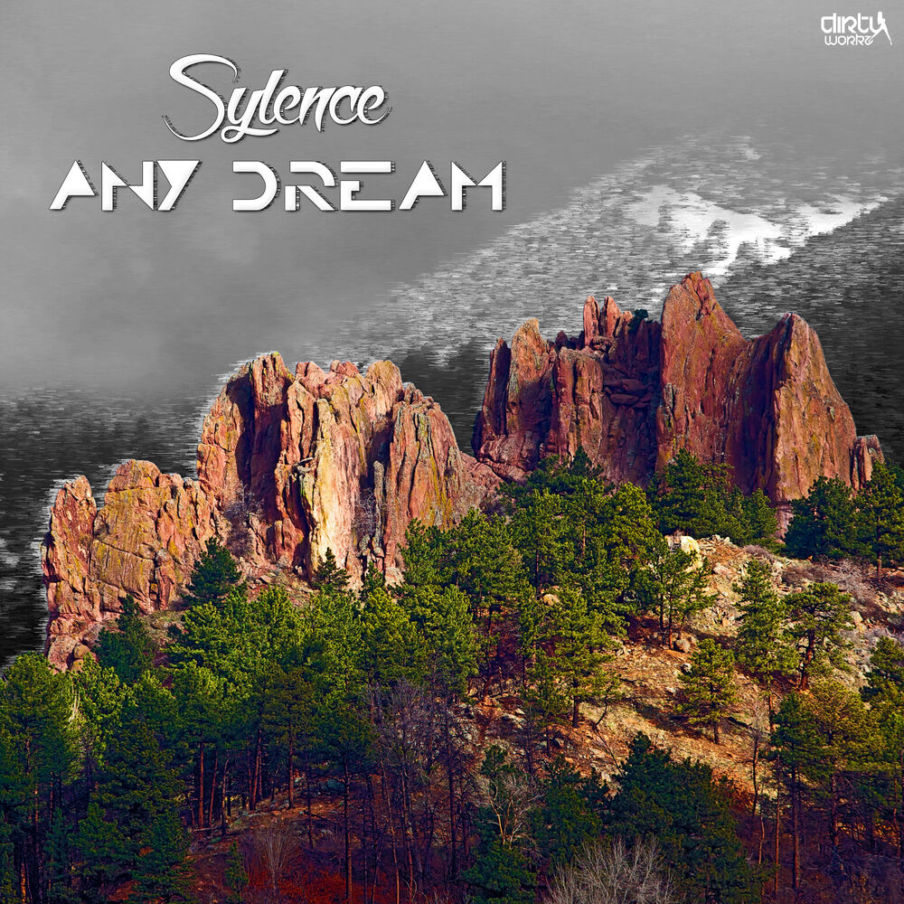 Picture of Any Dream