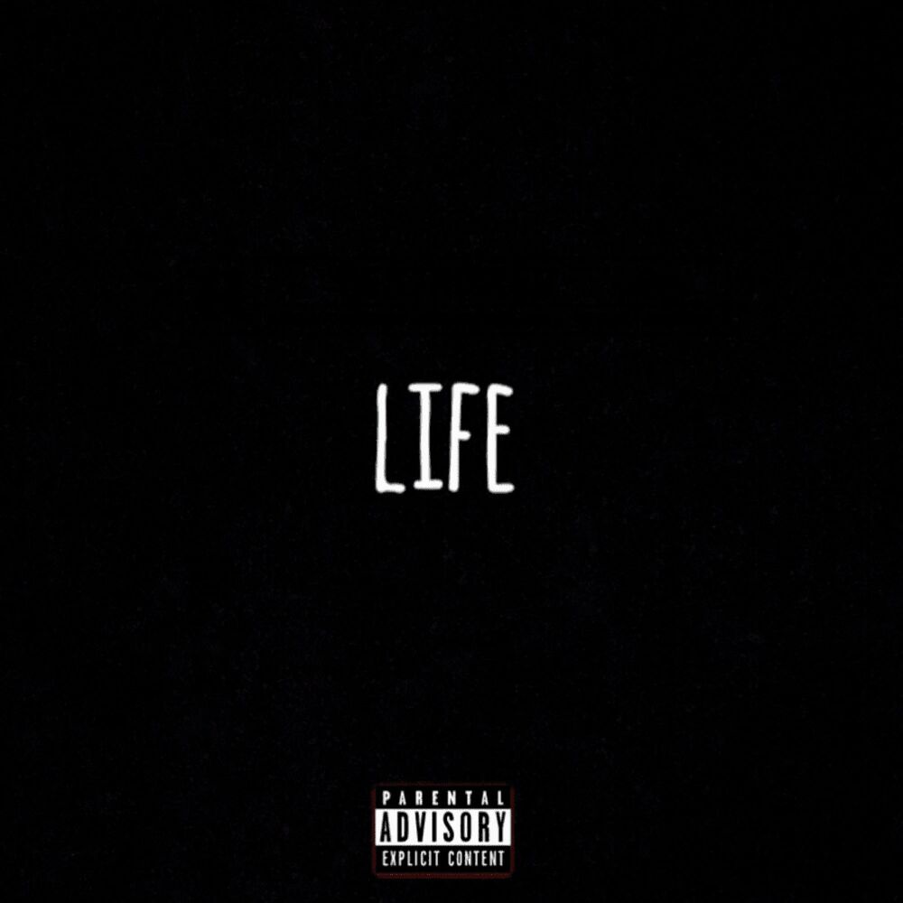 Picture of Life