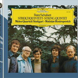 Cover of Schubert: String Quintet D 956