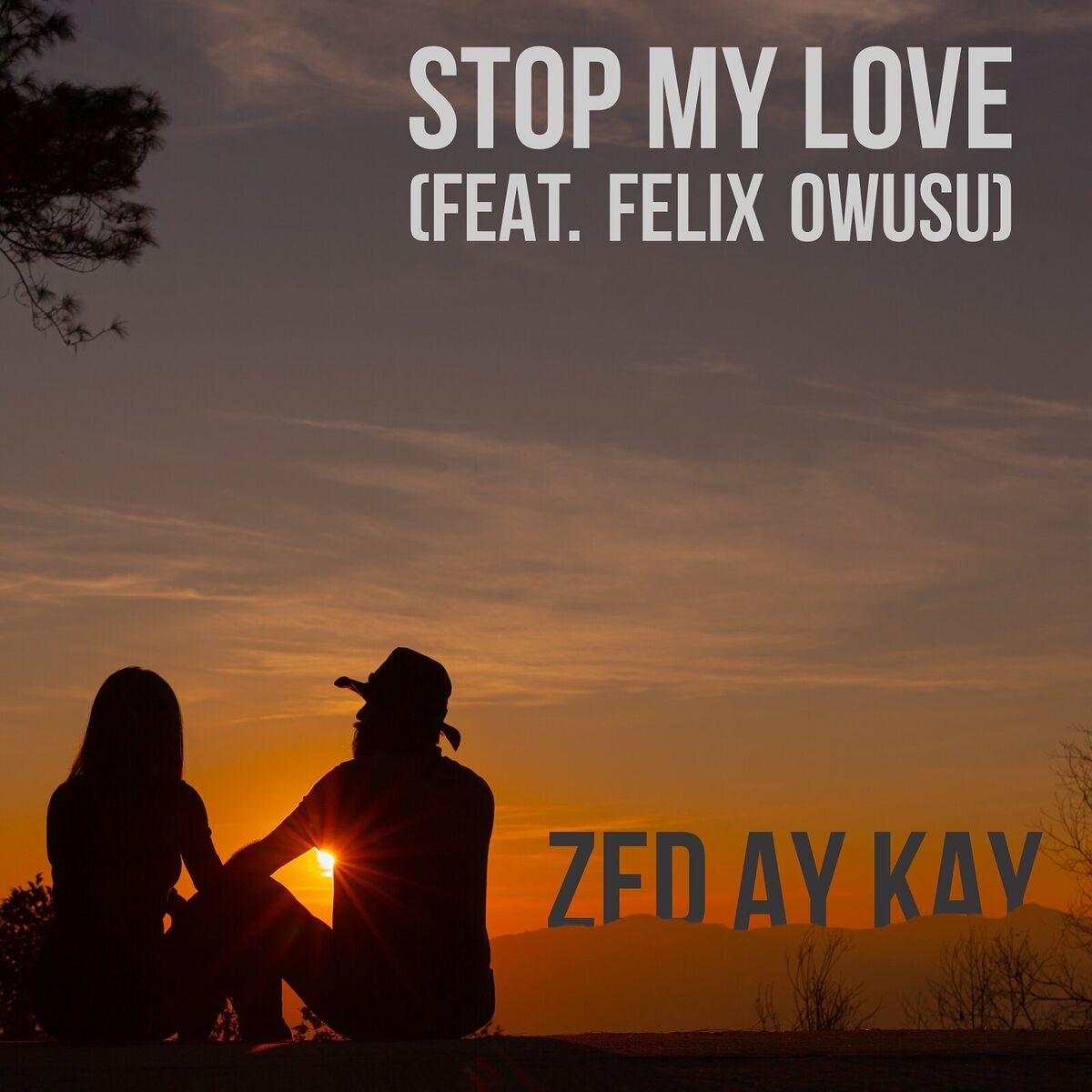 Album cover of Stop My Love