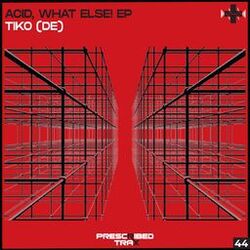 Cover of Acid, What Else! EP