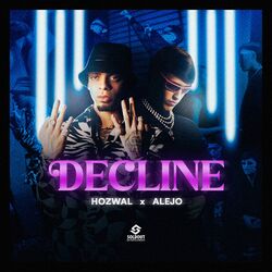 Cover of Decline