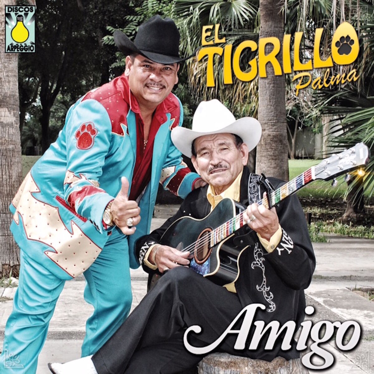 Album cover of Amigo
