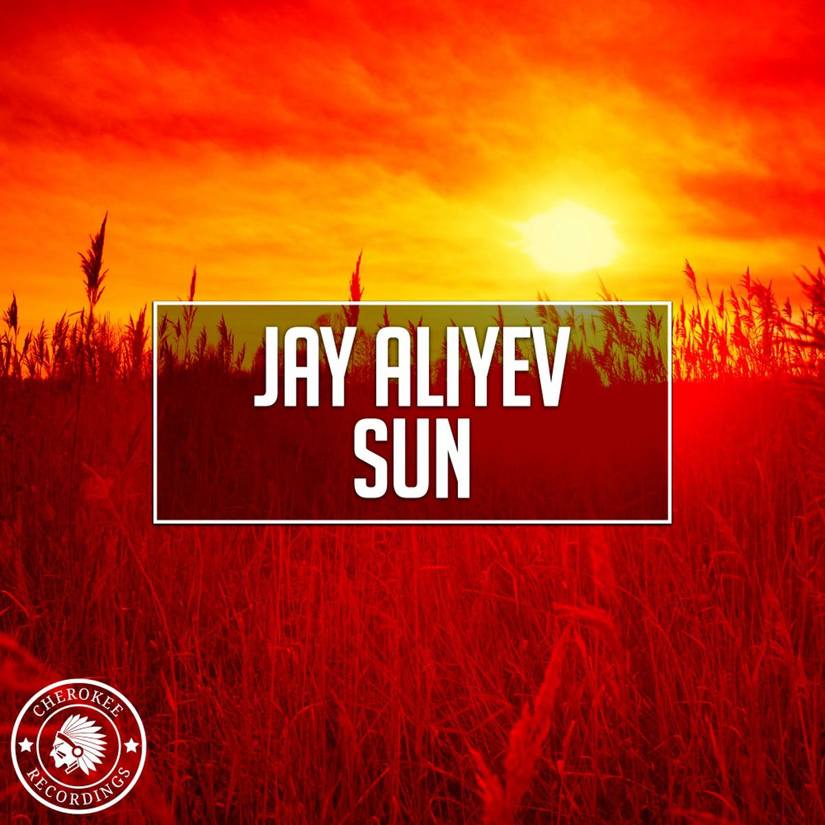 Album cover of Sun