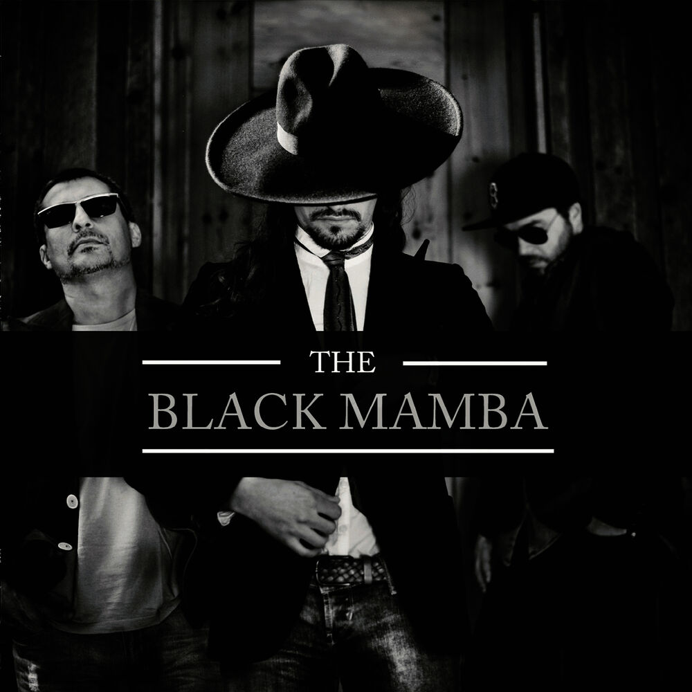 Picture of The Black Mamba