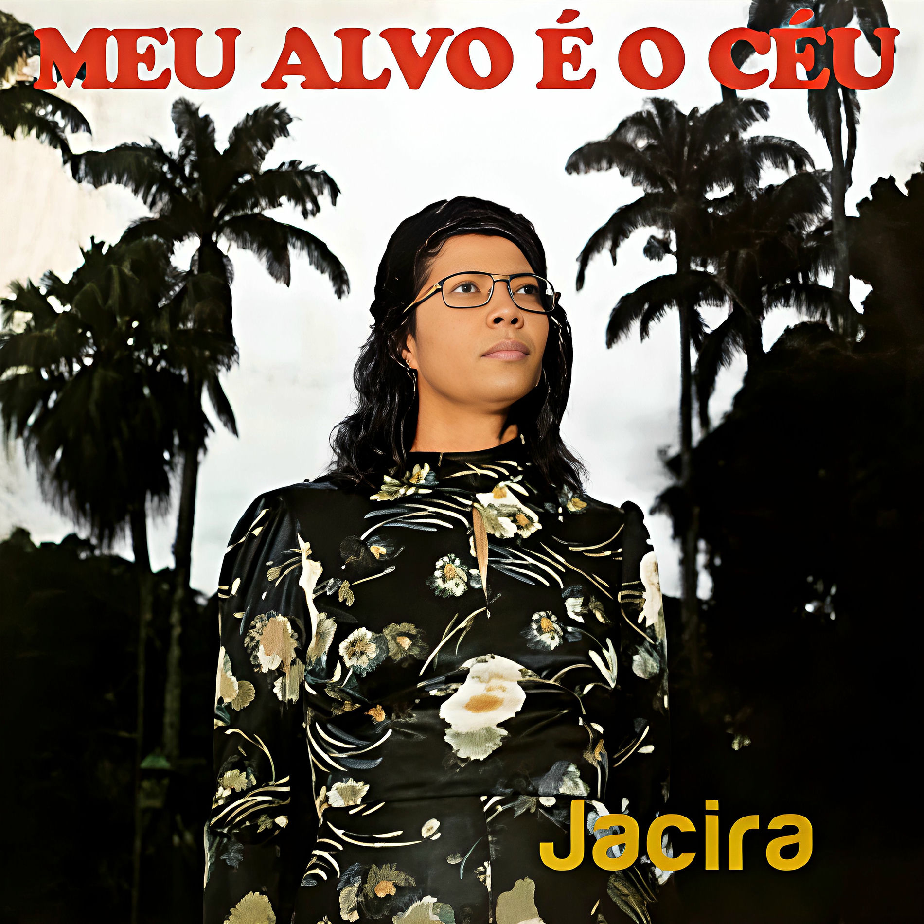 Album cover of Meu Alvo É o Céu