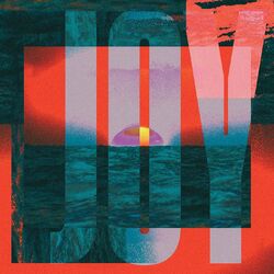 Cover of Joy