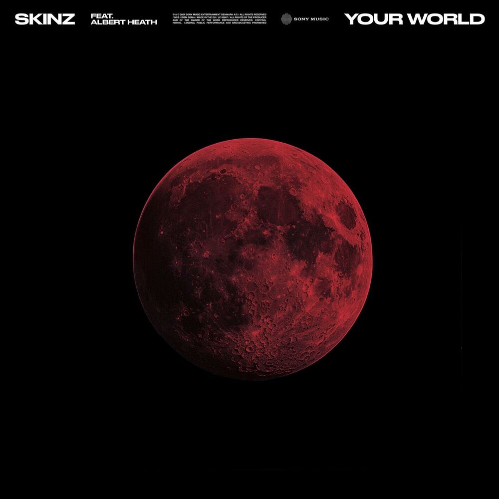 Picture of Your World (feat. Albert Heath)
