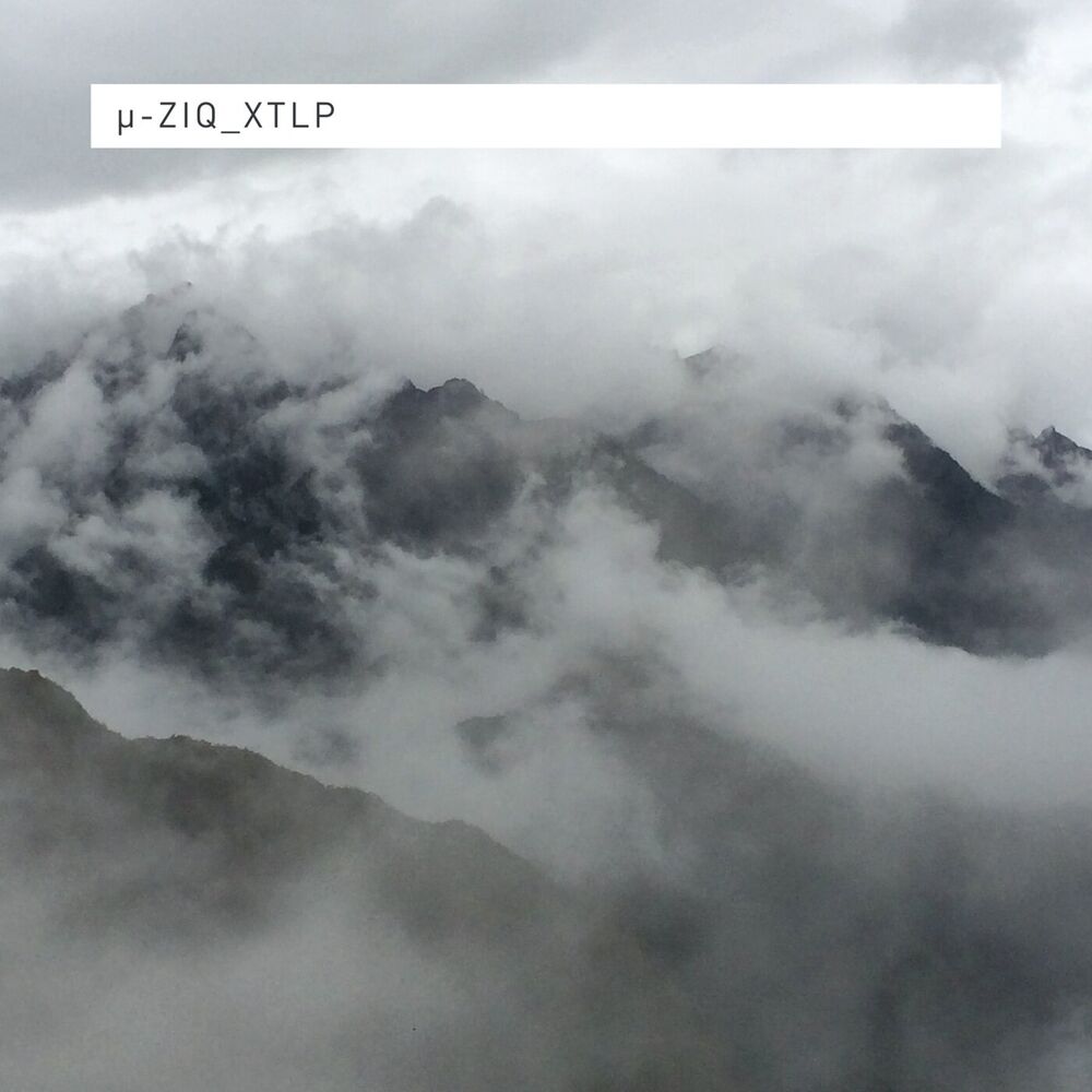 Picture of XTLP