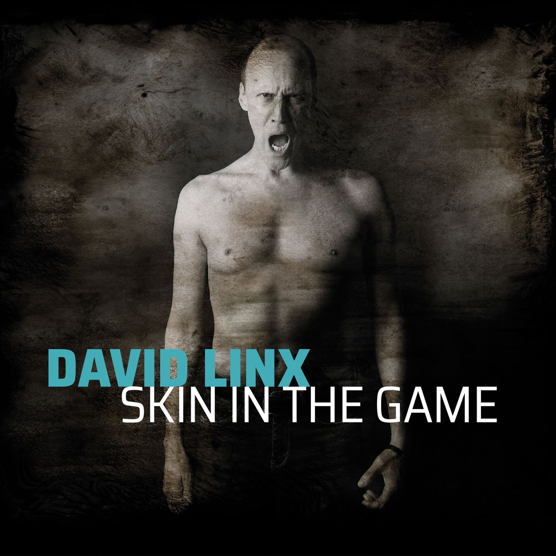 Album cover of Skin in the Game