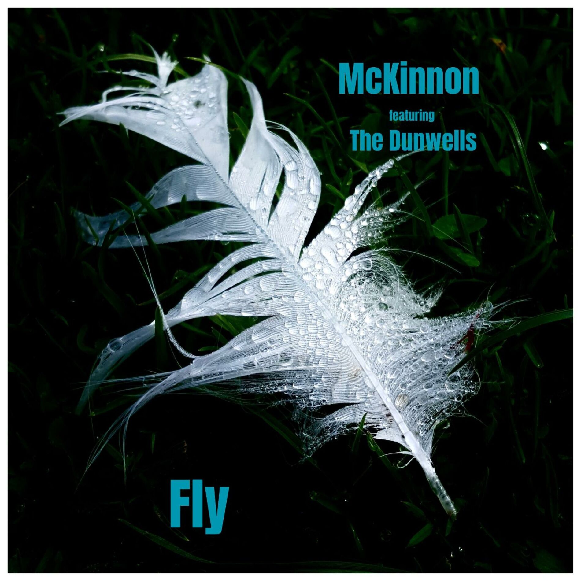 Album cover of Fly (feat. The Dunwells)