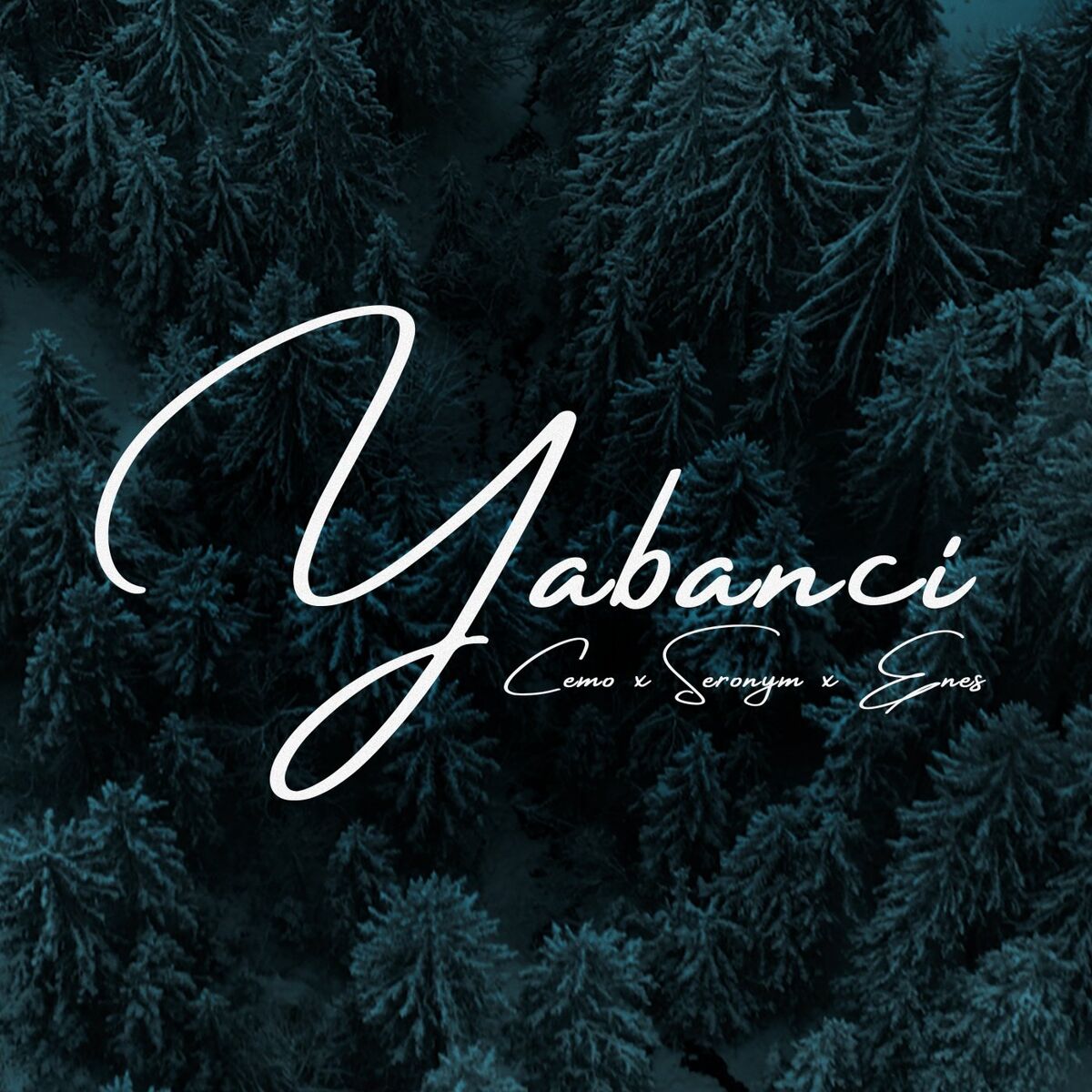 Album cover of Yabanci