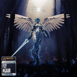 Cover of Fly Again (Lost Identities Remix)