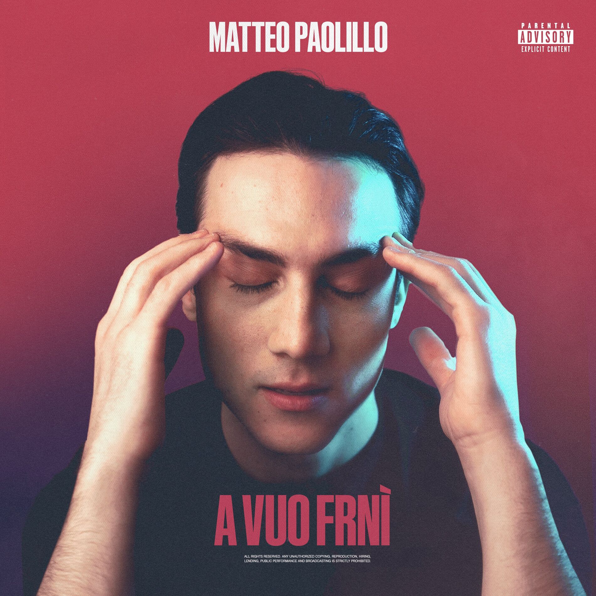 Album cover of A VUO FRNÌ