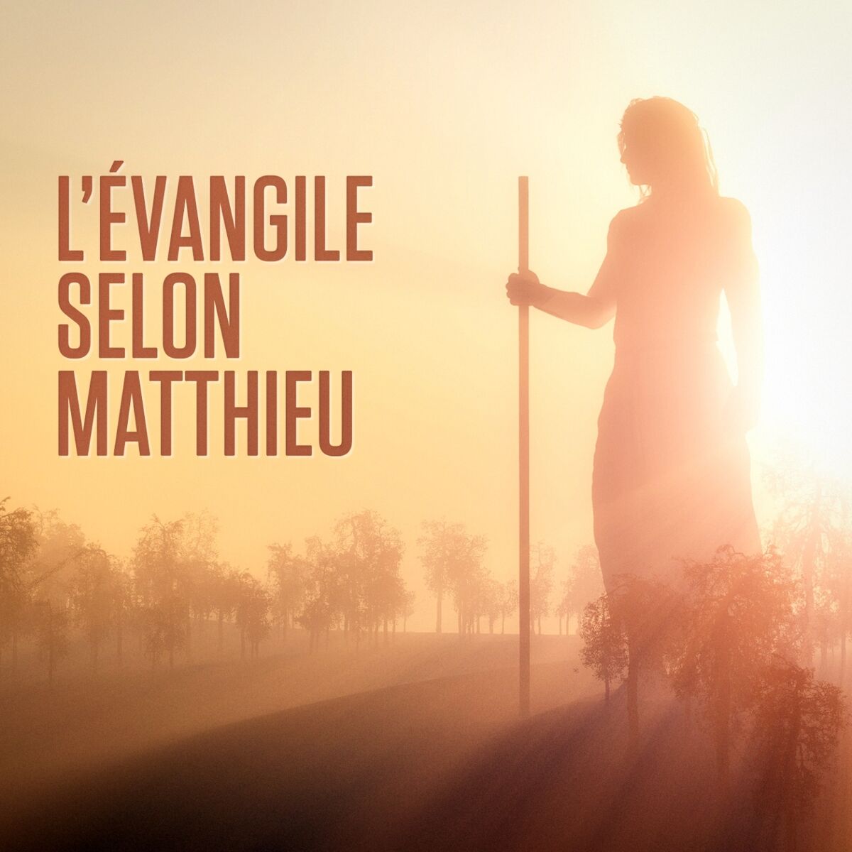 Album cover of L'évangile selon Matthieu : Le Nouveau Testament, 1ère partie