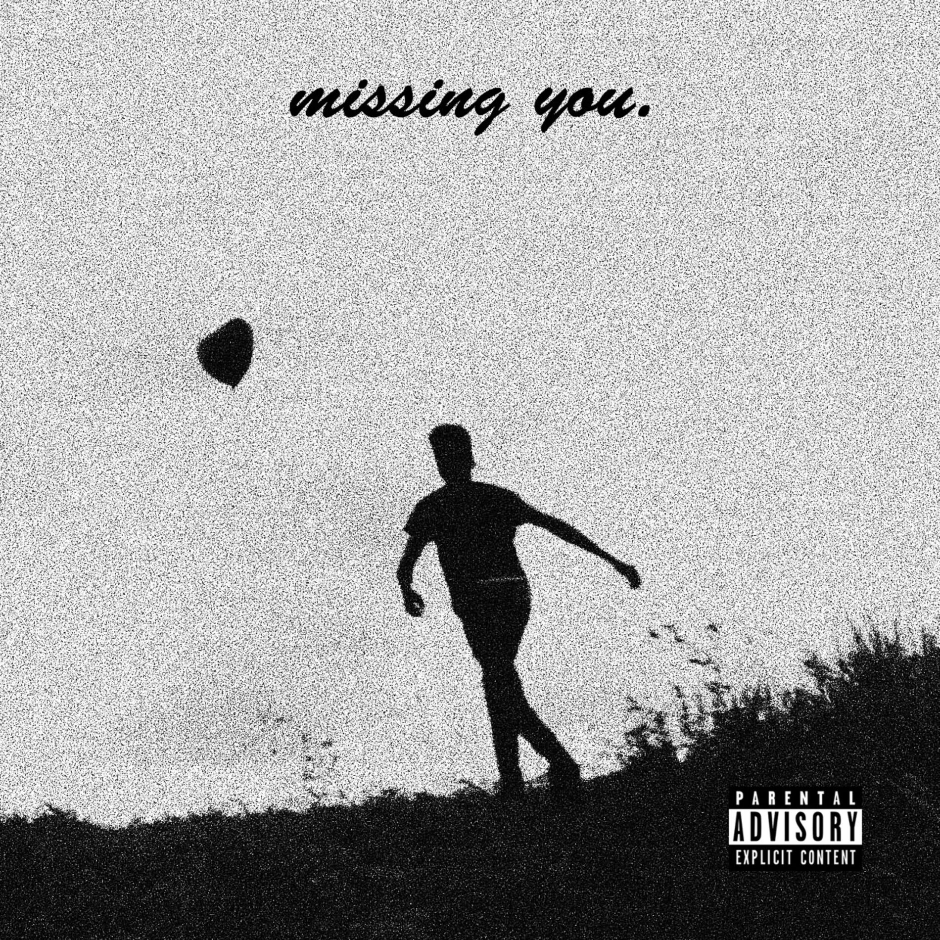 Album cover of Missing You.