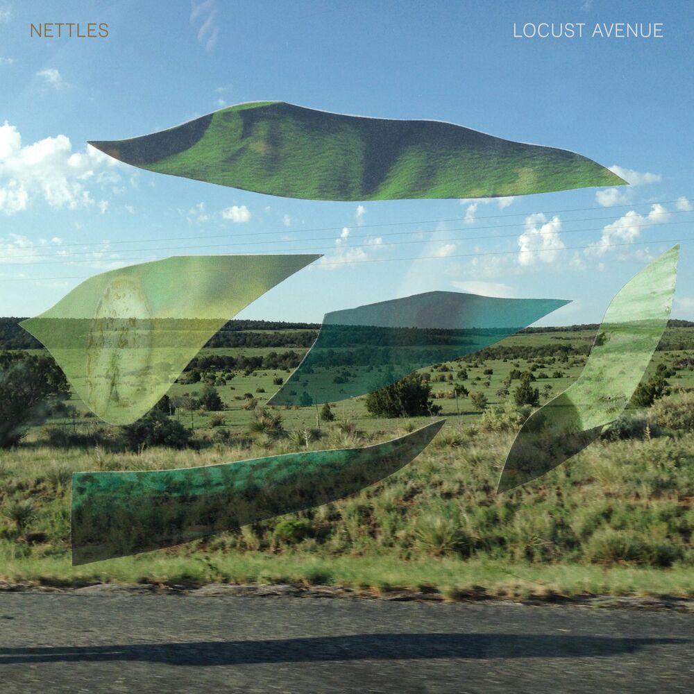 Picture of Locust Avenue