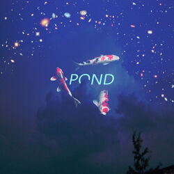 Cover of Pond
