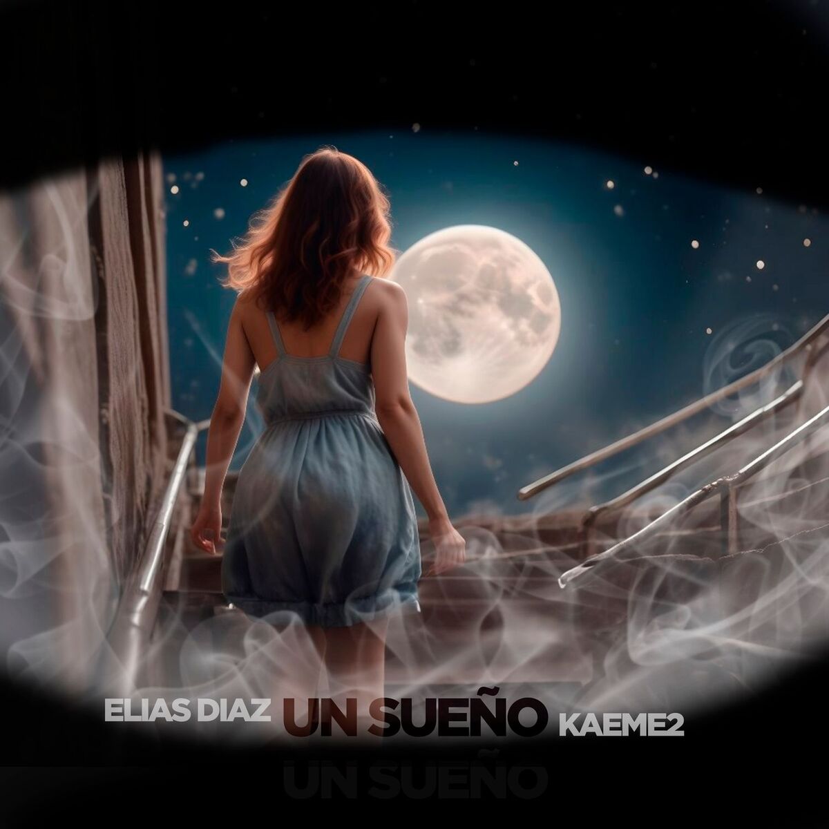 Album cover of UN SUEÑO