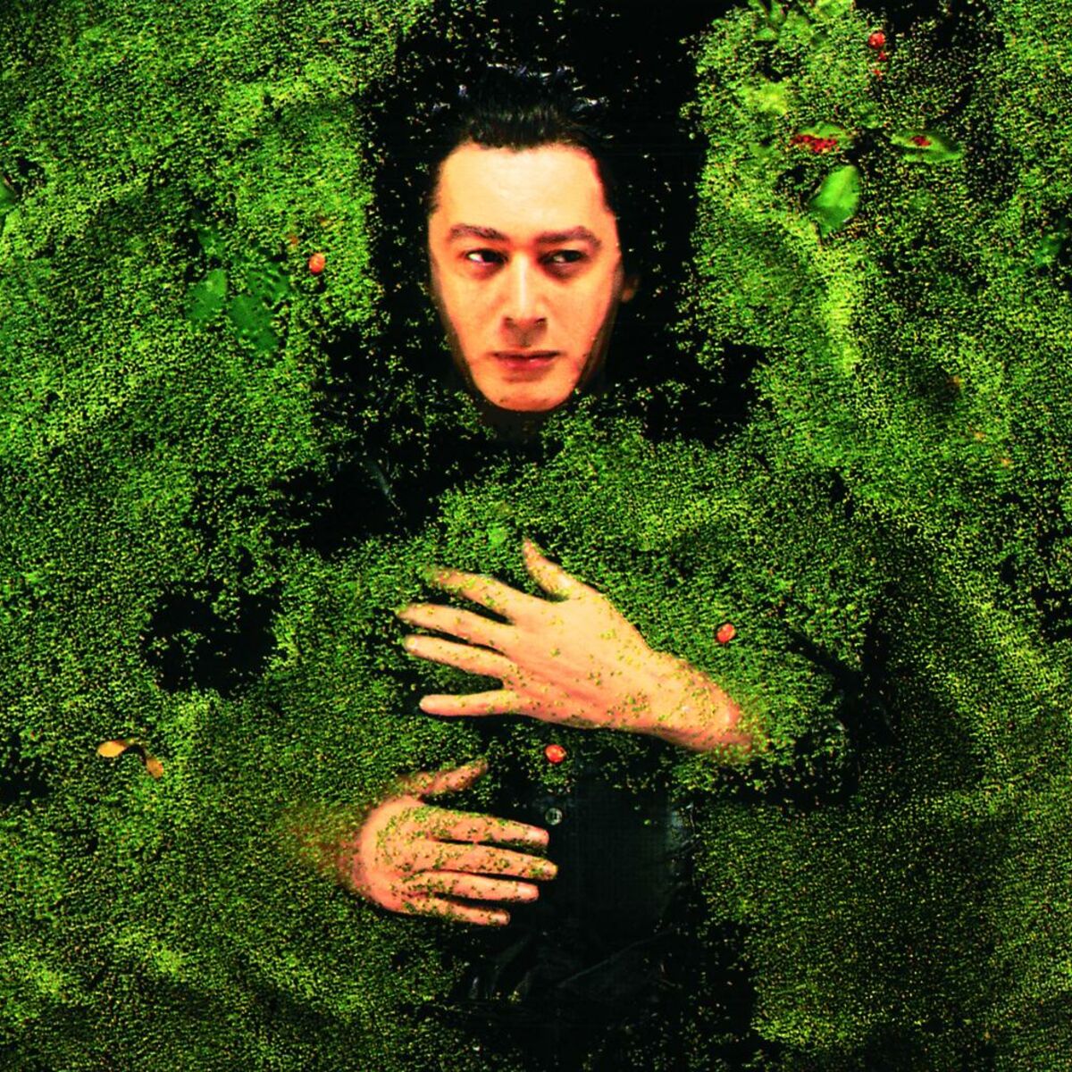 Album cover of Fantaisie Militaire