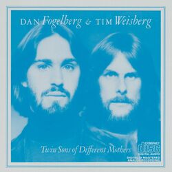 Cover of Twin Sons Of Different Mothers