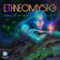 The Zeno Effect