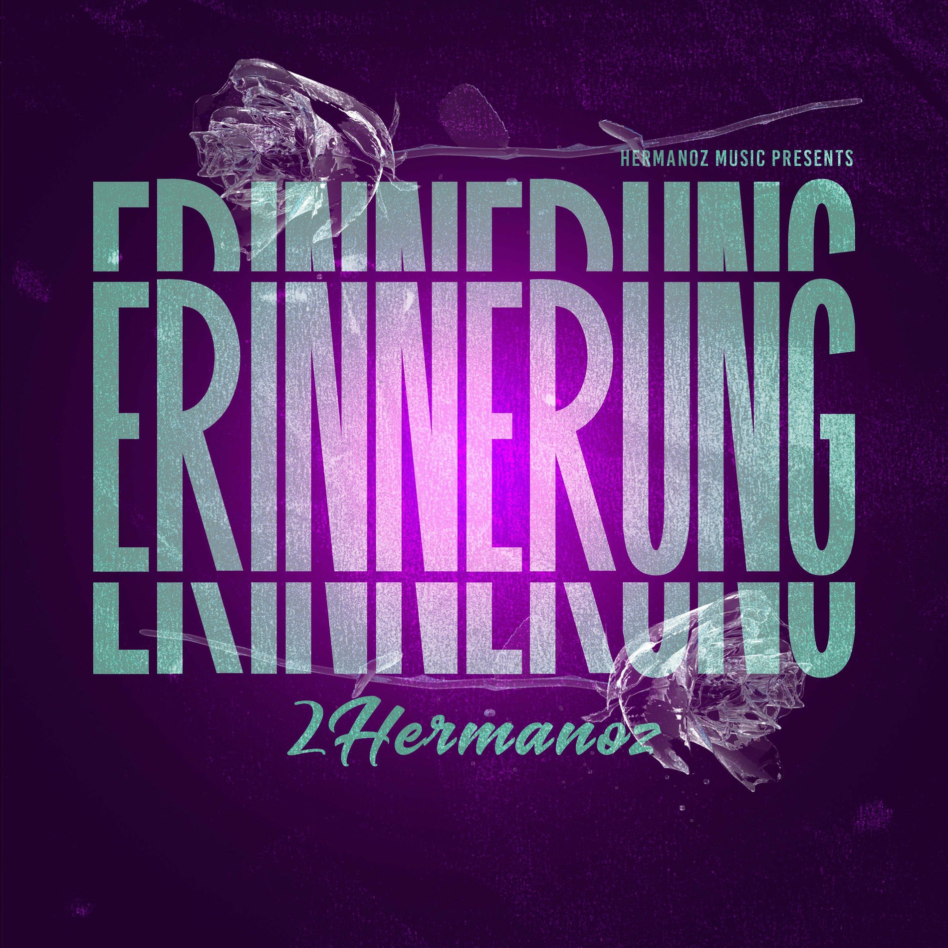 Album cover of Erinnerung