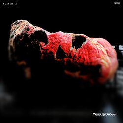 Cover of Fallpunkt